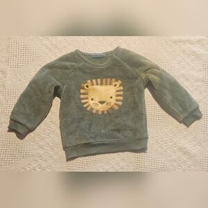 ⭐️$4 Just Add To Cart | Kids Green Lion Sweatshirt